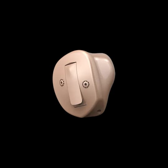 In-the-Ear (ITE)